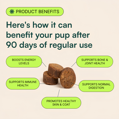 Multivitamin Chews