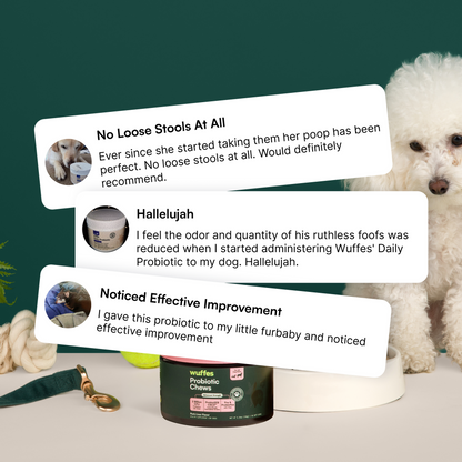Probiotic Chews