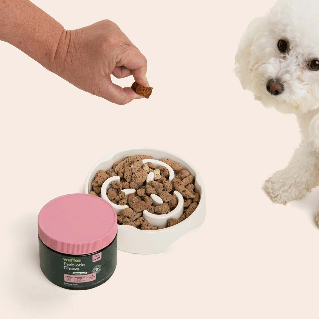 Probiotic Chews