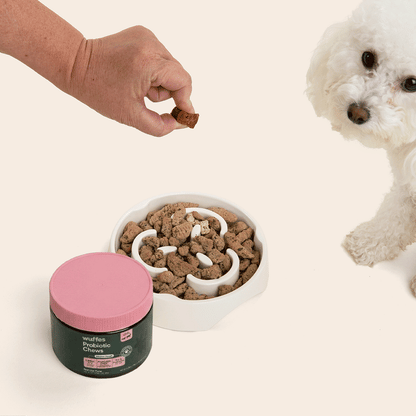 Probiotic Chews