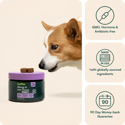 Allergy & Itch Chews
